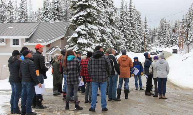 Mt. Baldy getting ‘FireSmarter’