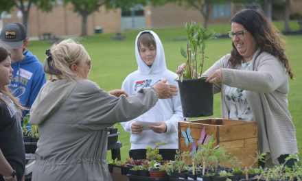 Plant Sale