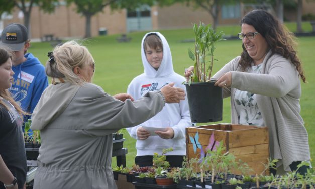 Plant Sale