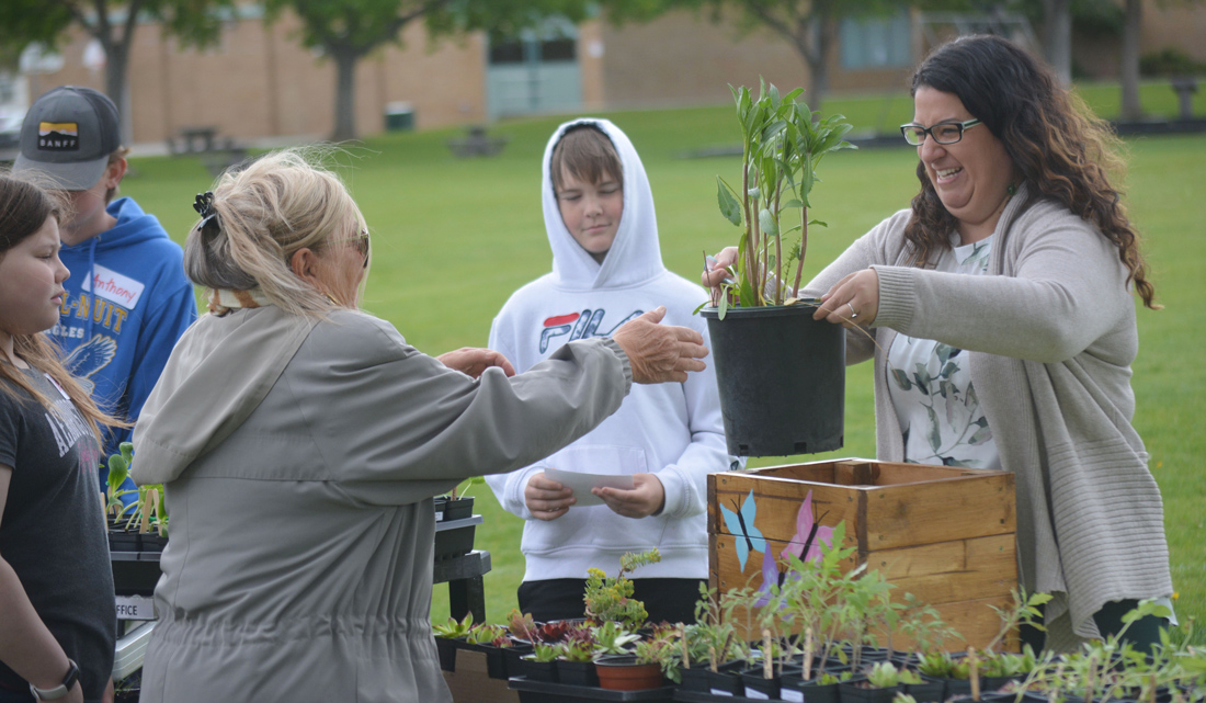 Plant Sale