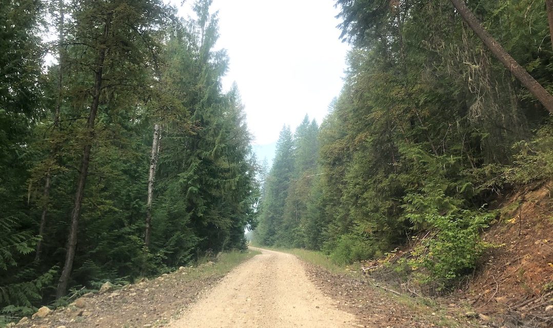 Backcountry road closures in state of ‘chaos’