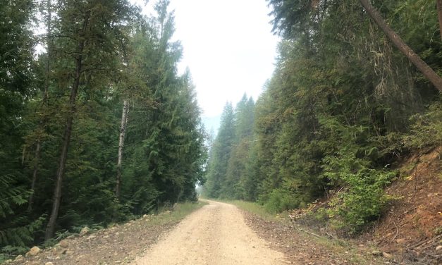 Backcountry road closures in state of ‘chaos’