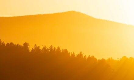 Consistent shift to warmer temperatures since 2000: OBWB