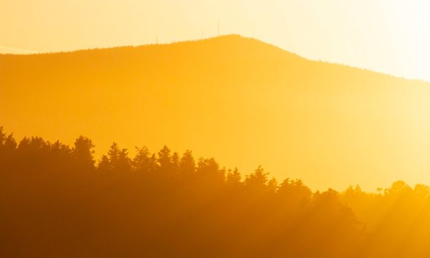 Consistent shift to warmer temperatures since 2000: OBWB