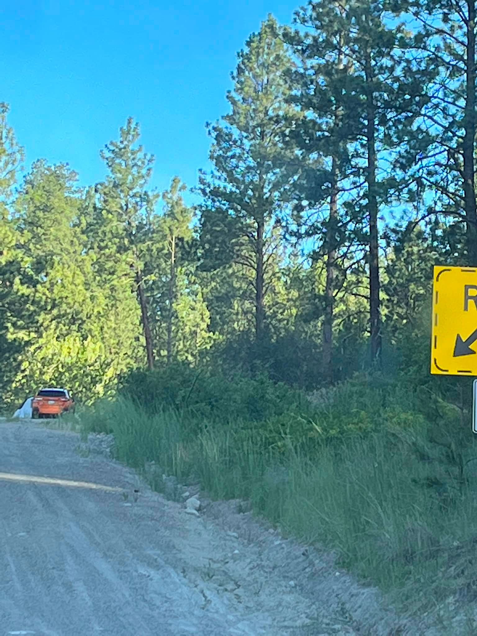 camping on runaway lane Hwy 3 anarchist