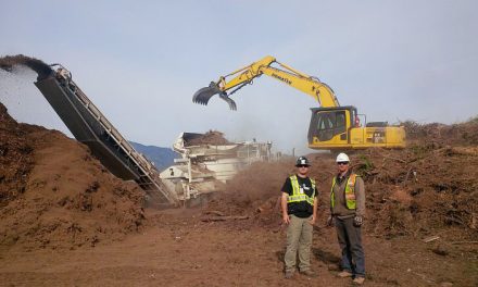 Wood chipping under review