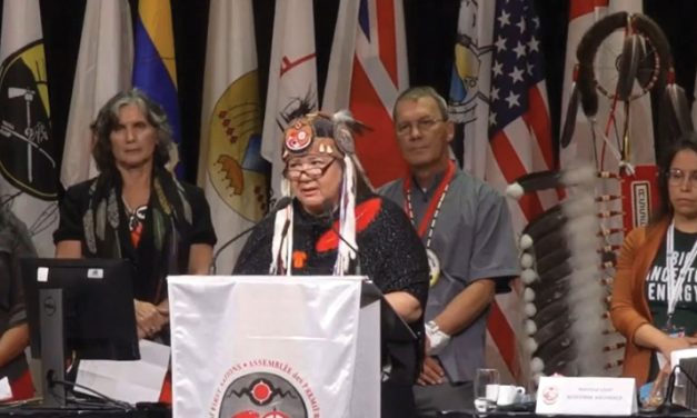 Forensic audit of at least 10 years of AFN finances