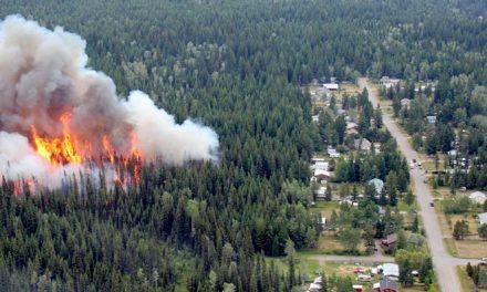 EDITORIAL: Give yourself peace of mind by FireSmarting