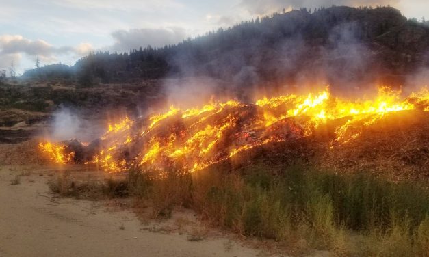 Quick response stops landfill fire