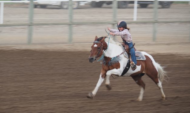 Barrels of fun had at Osoyoos Desert Park
