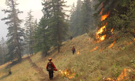 Crews ‘join the dots’ on Keremeos fire containment lines