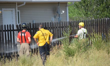 Firefighters jump on riding mower blaze