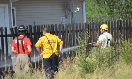 Riding mower starts fire