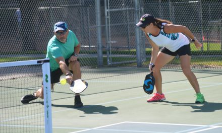 In a ‘pickle’ over court fees