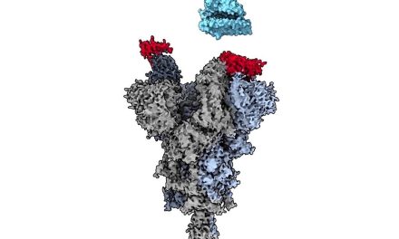 UBC researchers discover COVID-19 ‘master keys’