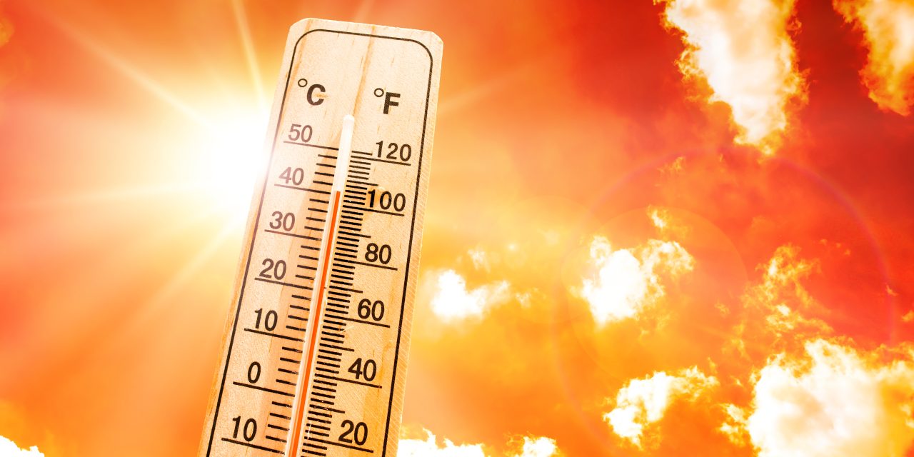 Cooling centres up as towns, non-profits prepare for extreme heat