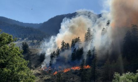 Possible visible smoke from pile burning: BCWS