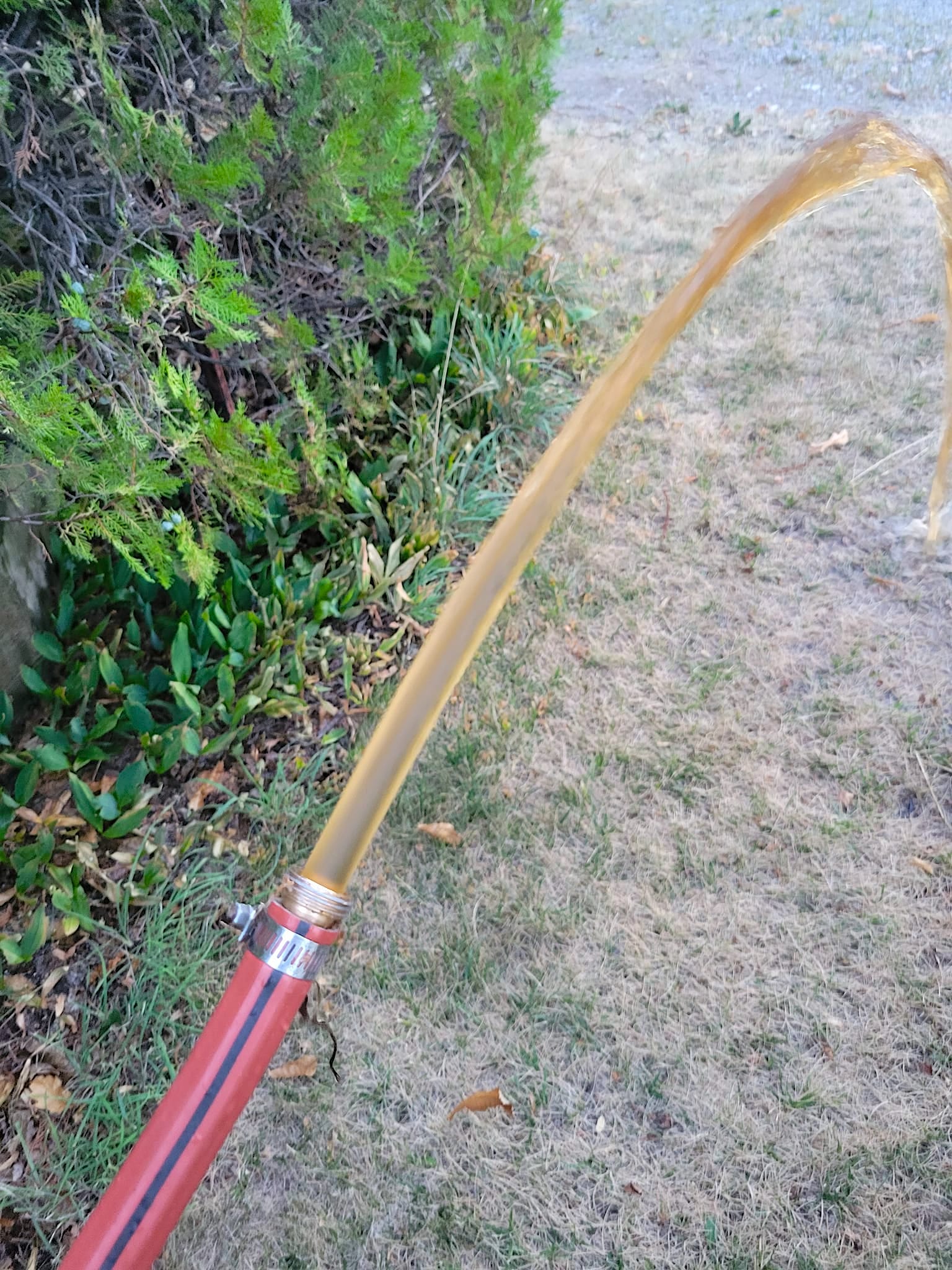 osoyoos water - iced tea