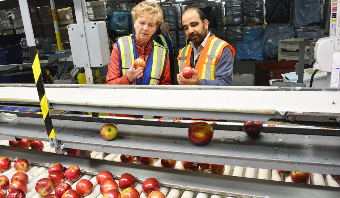 BC Tree Fruits expansion lauded in Oliver TimesChronicle.ca