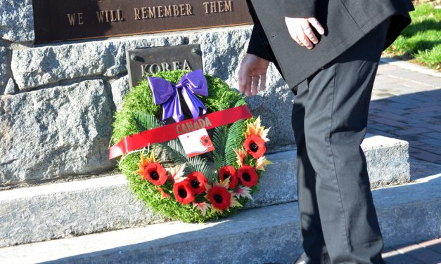 New cenotaph location proposal gets pushback