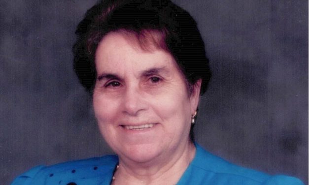 Maria De Lurdes Ferreira Alves