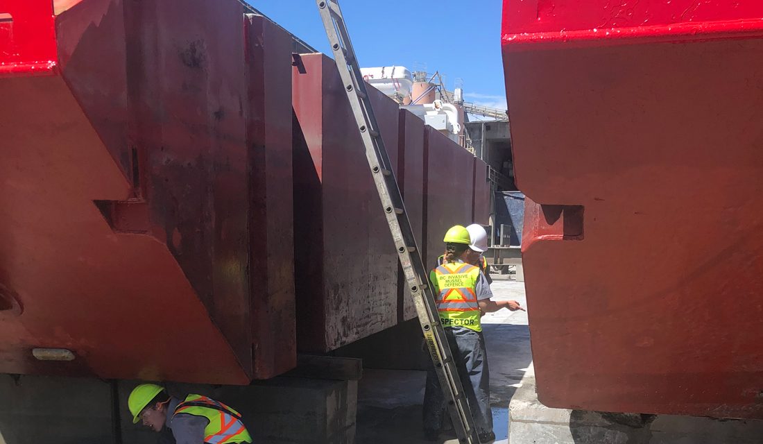 Tackling the biggest decontamination in history