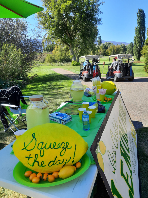 Honour house golf