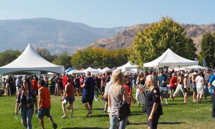 Festival of the Grape makes triumphant return