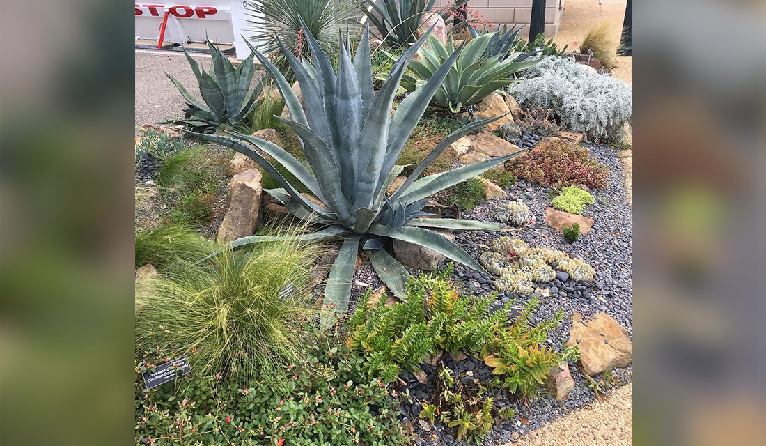 Town of Oliver seeks grant for xeriscape garden