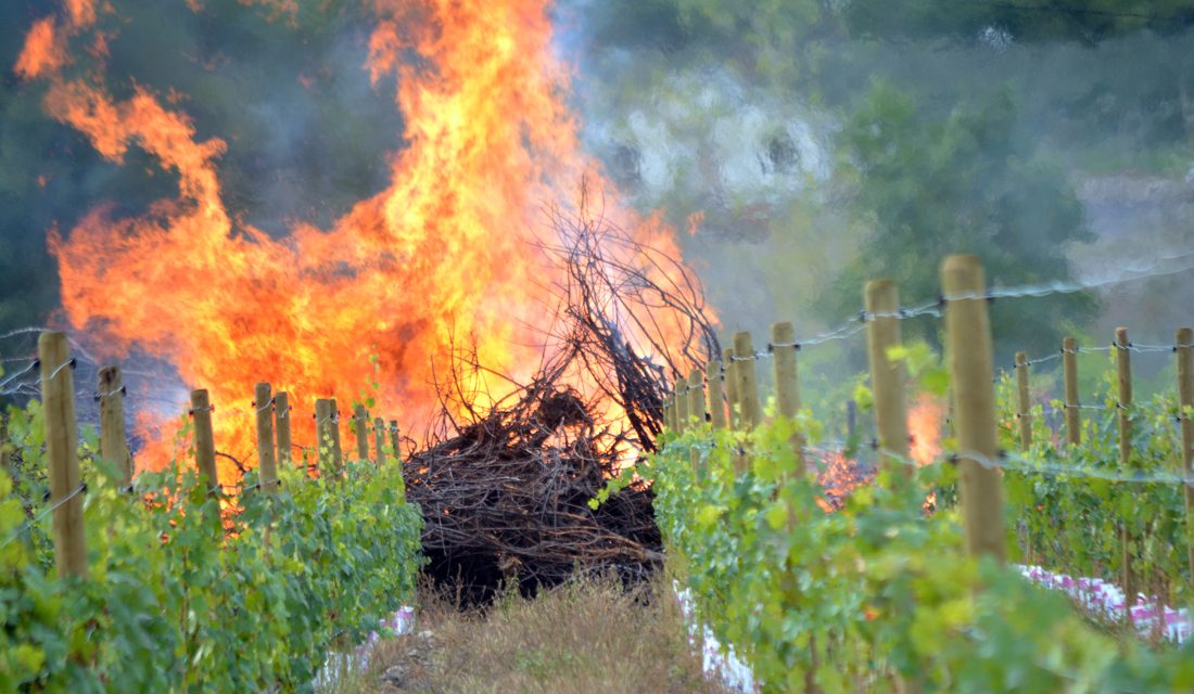 RDOS open burning season now closed