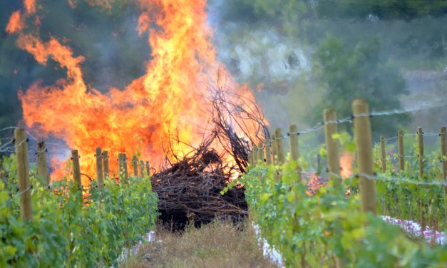 RDOS open burning season now closed