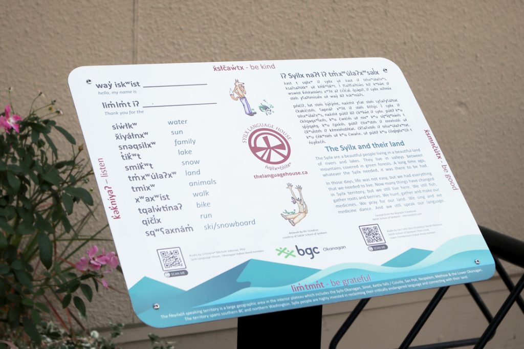 language sign