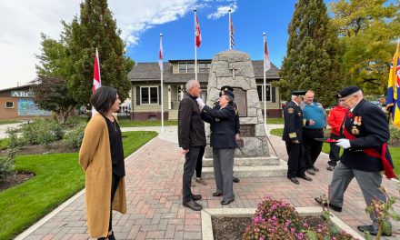Oliver Legion pins poppies