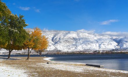 Winter’s Hold