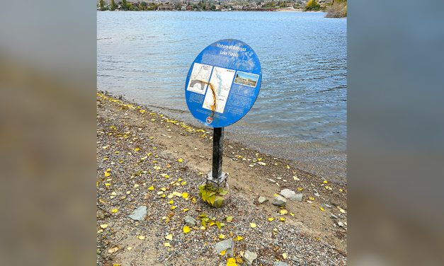 IJC plaque on transborder lake cooperation vandalized