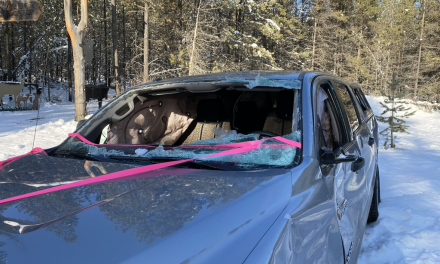 Local firefighters help seniors trapped in vehicle