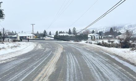 Downed pole closes road