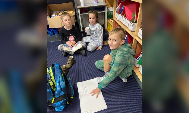 School trustees embark on new strategic plan
