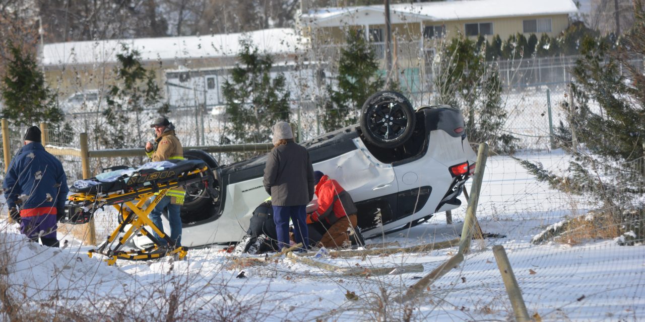 Dog died in SUV rollover