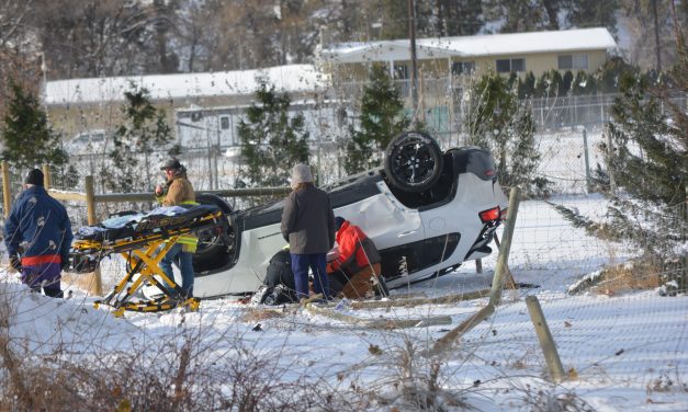 Dog died in SUV rollover