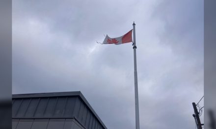 Letter to the Editor: Tattered flag upsetting