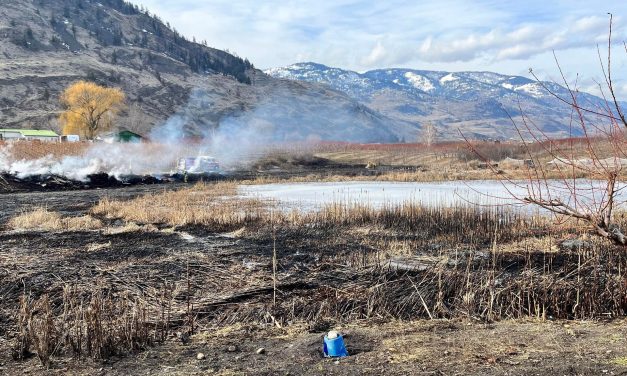 Fire officials caution residents about burn piles