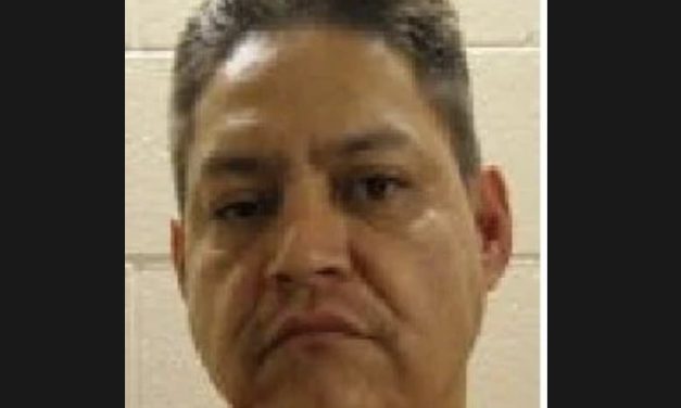 Notorious break and enter suspect in court