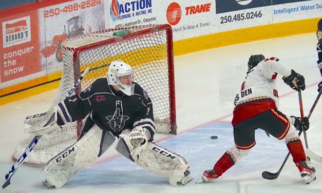 Town proposes to allow Coyotes advertising on new scoreboard