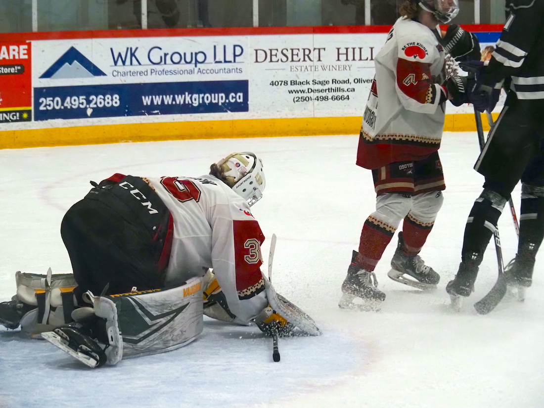 coyotes hockey