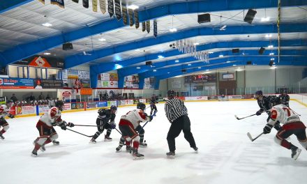 Coyotes playoff road ends with solid hockey