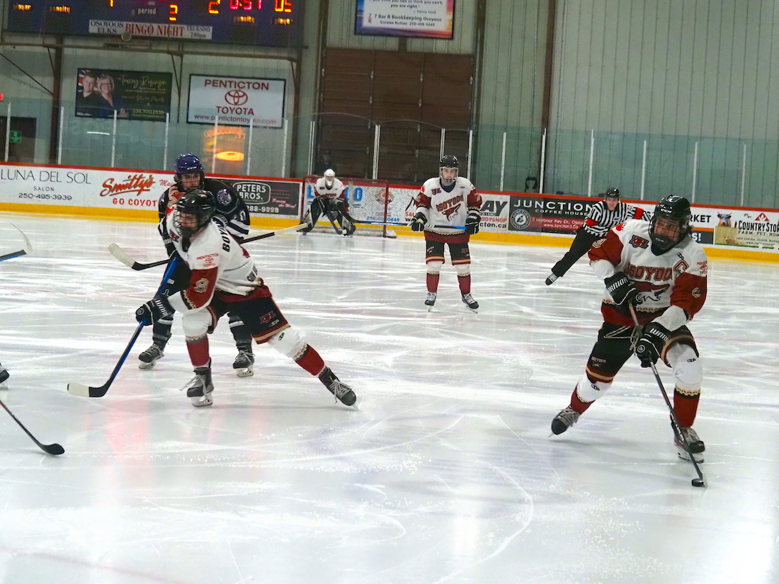 coyotes hockey 