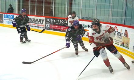 New owners for Coyotes as Junior ‘A’ hockey on a powerplay