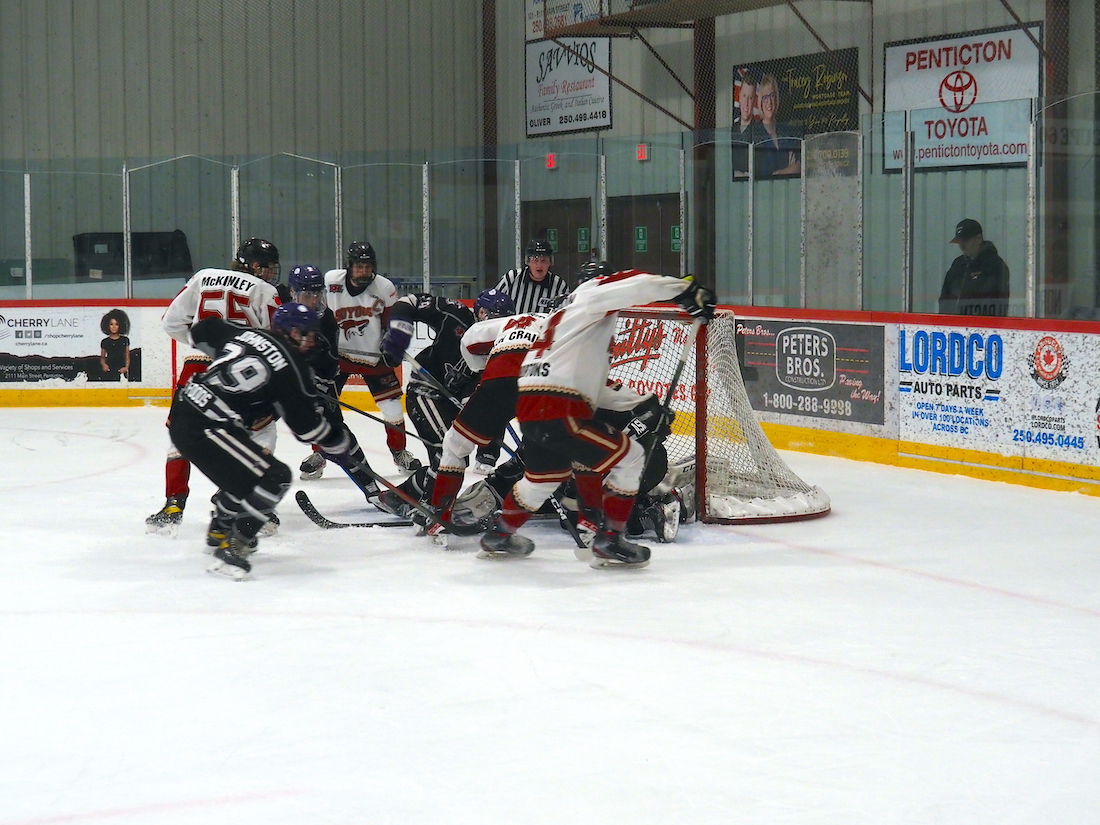 coyotes hockey