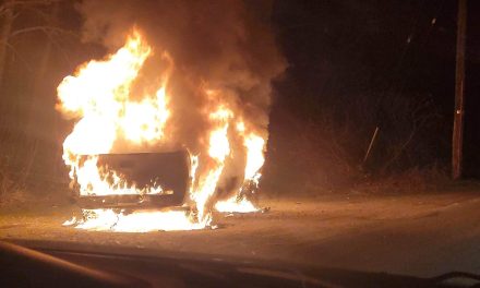 Stolen truck burns